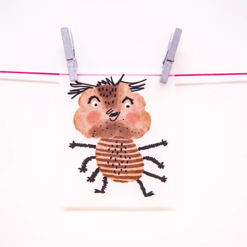 Abverkauf BÜGELBILD SPINNE
