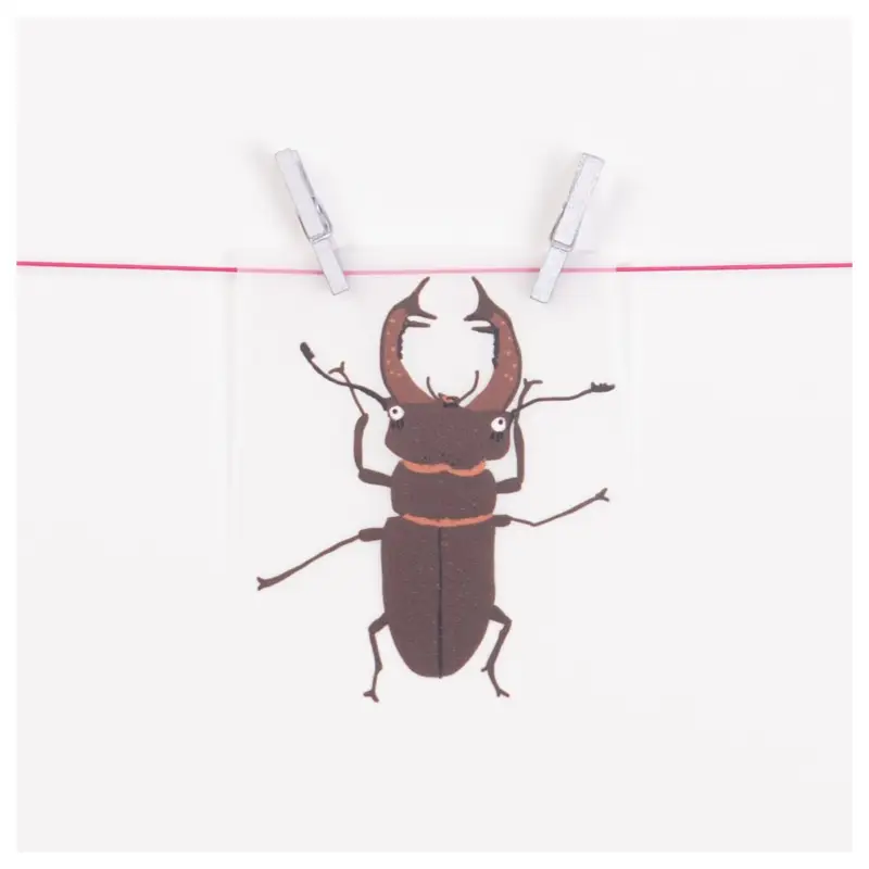 BÜGELBILD HIRSCHKÄFER Wochenendangebot