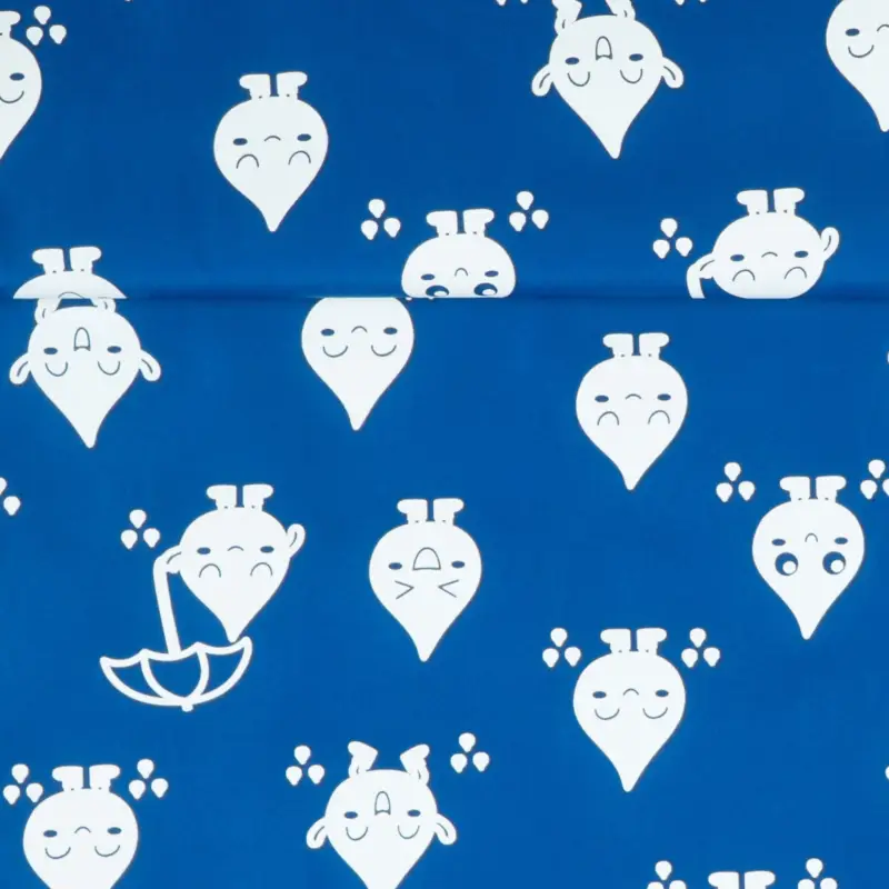 RAINCOAT MAGIC KAWAII royal Beliebt