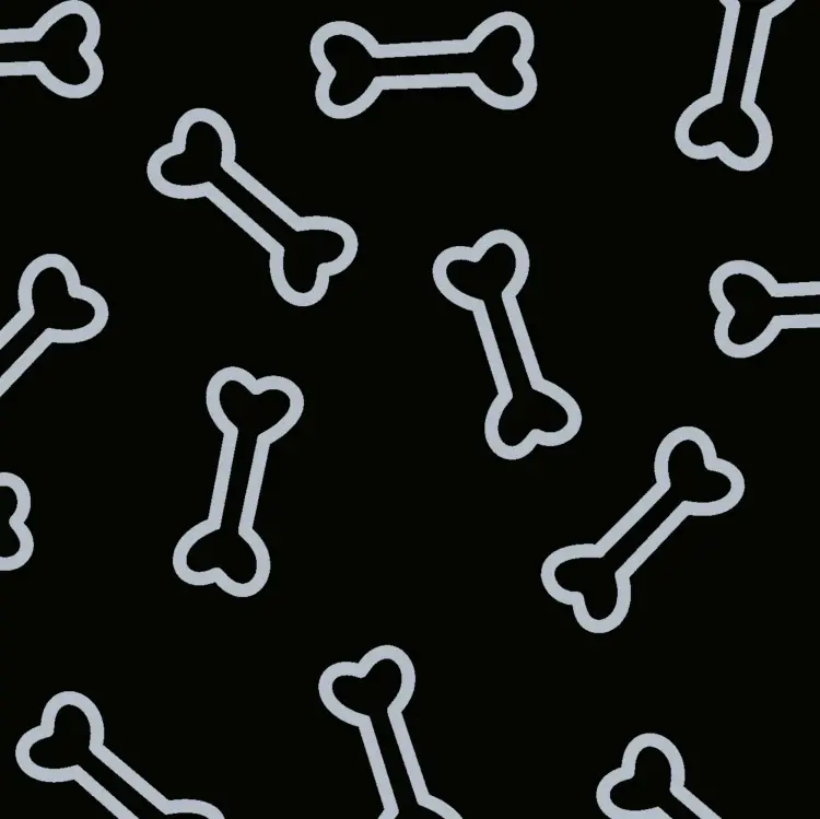 Wellnessfleece Bones, schwarz Ausverkauf