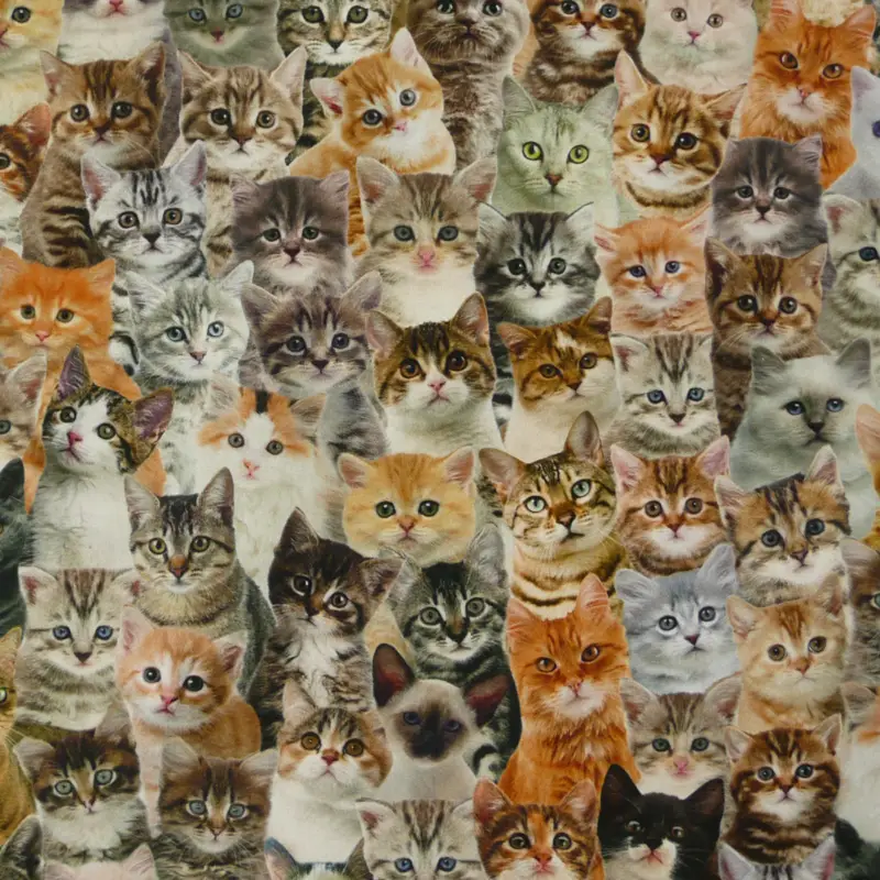 Schneller Versand Dekostoff Halbpanama Digitaldruck Katzen braun weiß 1,40m breit