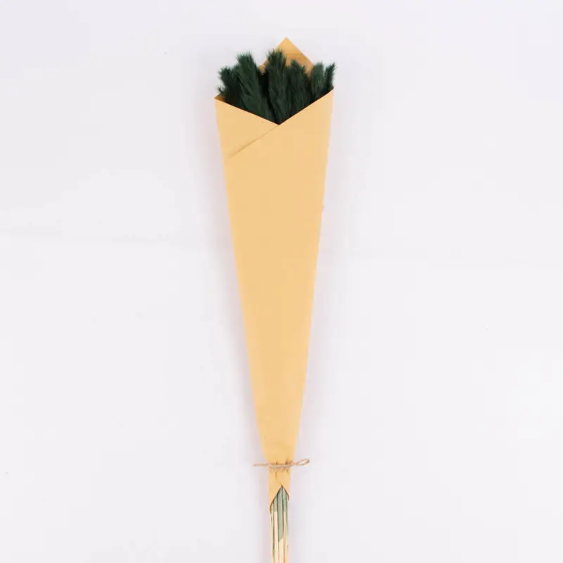 Neu Im Sortiment Pampasgras getrocknet Naturmaterialien dunkelgrün ca.75cm