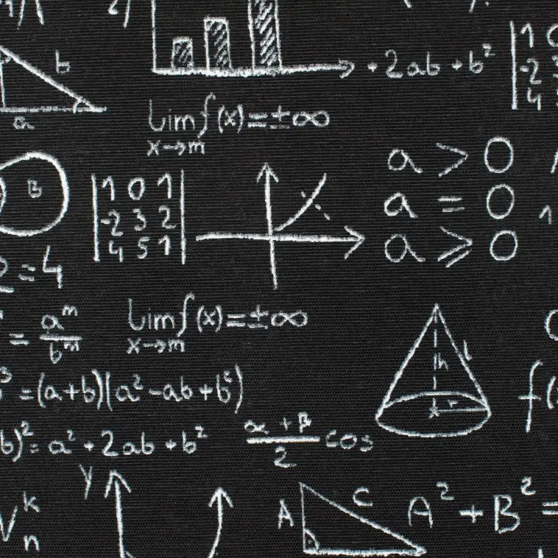Dekostoff Loneta höhere Mathematik schwarz Preis Gesenkt