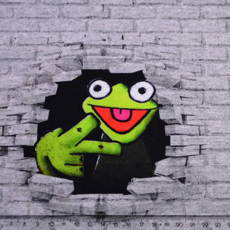 French Terry "Graffiti Frosch" - SBS10068 Echt